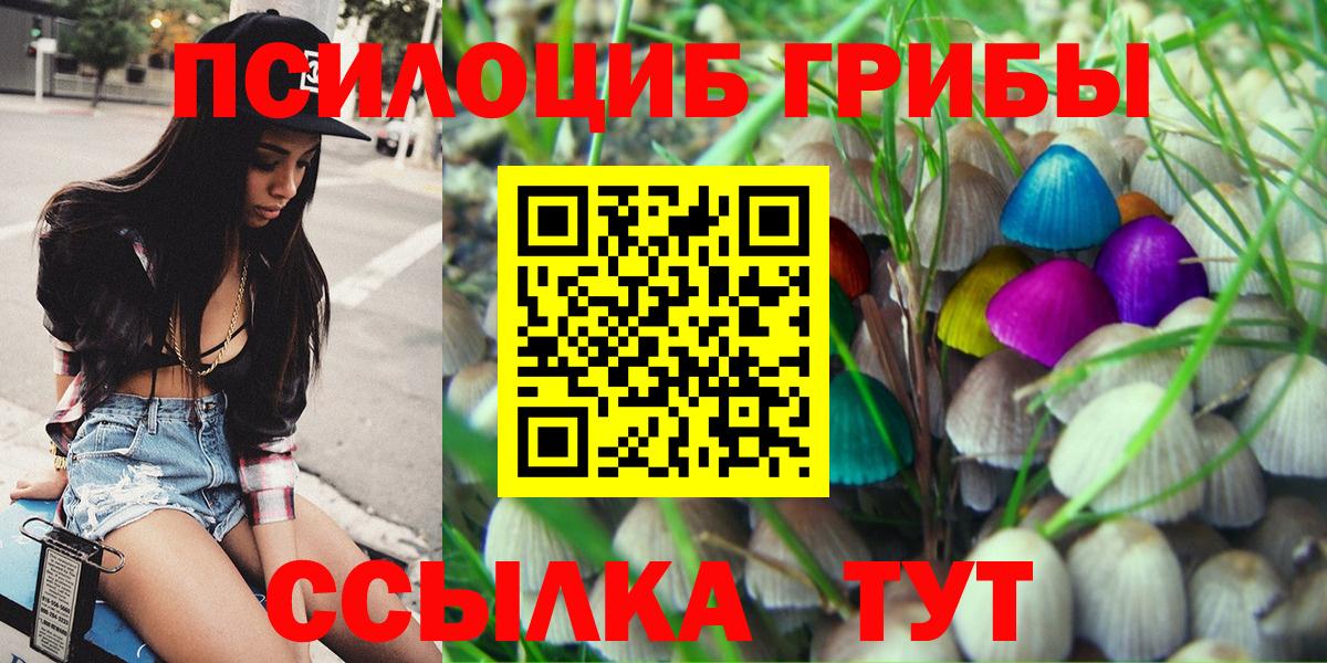 Галлюциногенные грибы мицелий Костомукша