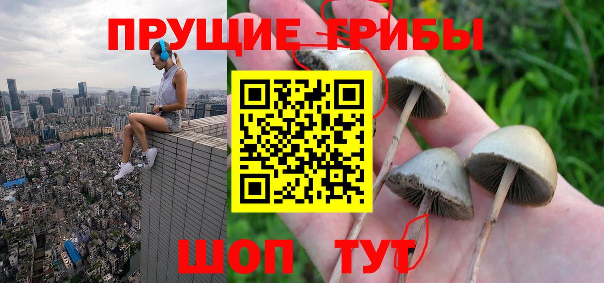 Псилоцибиновые грибы ЛСД  Вход с VPN  Костомукша 